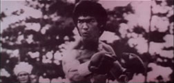 Bruce Lee